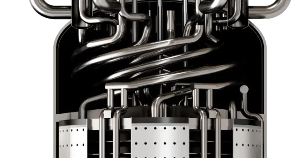 Terrestrial Energy — image published by the organisation
